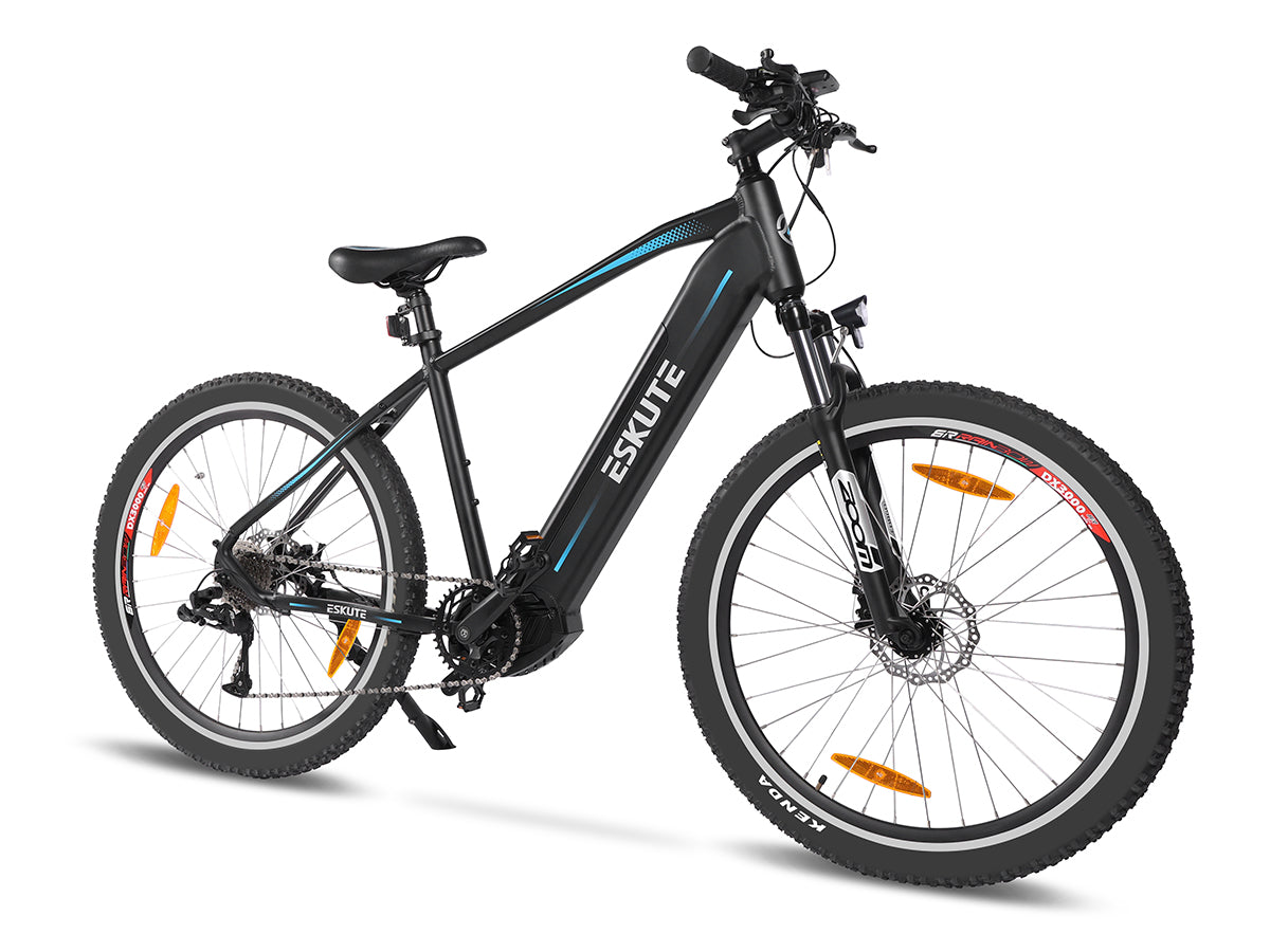 Netuno Pro Electric Mountain Bike